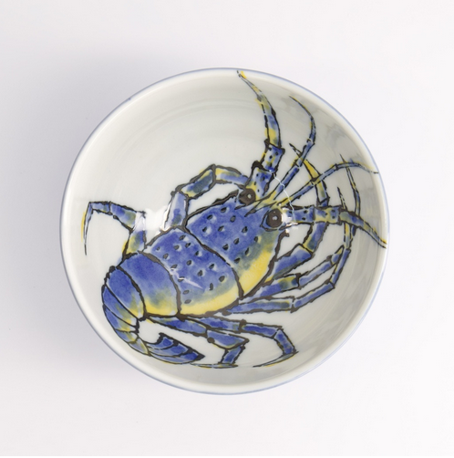 Robusuta design blue and white bowl from Japan