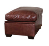 Run Up Box Ottoman with Cushion Top in Hide